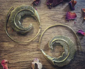 Feather Spiral Earrings | Brass